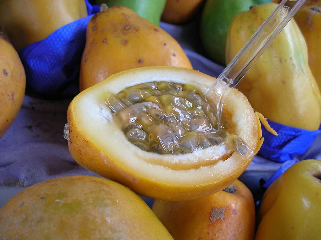 Passion fruit in Mexico
