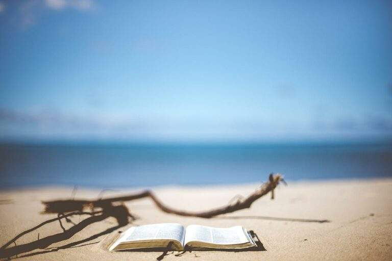 beach, book, reading-1866992.jpg