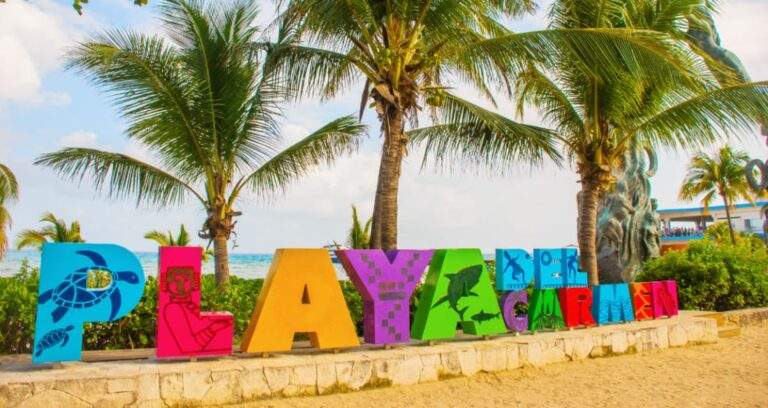best places to eat, drink and shop in playa del carmen mexico